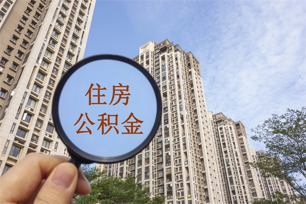 公积金怎么一次性全部提取-杭州公积金代办平台